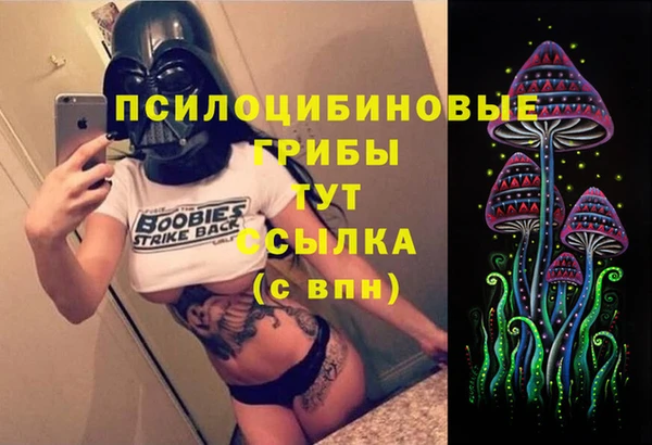 а пвп мука Грязовец
