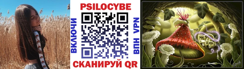 Галлюциногенные грибы Cubensis  Элиста 